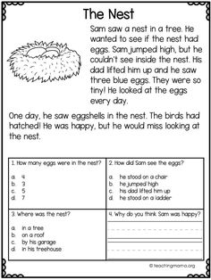 the nest worksheet for students to help with reading and writing their own words