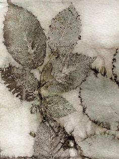 a leaf is shown on top of the snow covered ground, and it appears to be frozen