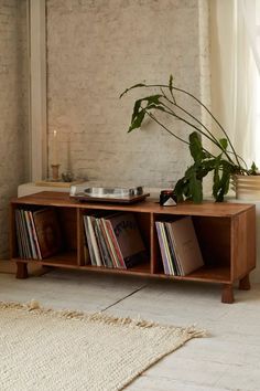 an entertainment center with record player and plant in the corner