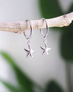 Adorn your ears with coastal charm - these 925 Silver Sea Star earrings combines elegance with a touch of the ocean.𓇼 The 925 sterling silver hooks are adorned with a Sea Star that resonates with the spirit of coastal living.  The Sea Star or Starfish is a symbol of resilience, regeneration, and the beauty of the ocean. These earrings adds a touch of coastal charm to any outfit.  Whether for yourself or as a thoughtful gift, these 925 Silver Sea Star earrings are the perfect choice.🌟 ▼  925 st Sea Earrings, Silver Jewlery, Star Earring, Earring Hoops, Coastal Elegance, Seashell Earrings, Silver Sea, Starfish Earrings, Coastal Charm