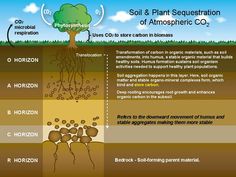 Geology Projects, Ag Education, Soil Texture, Earth And Space Science, Food Lab, Soil Testing