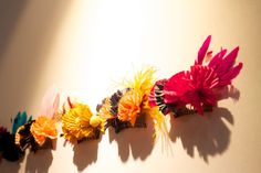 five colorful flowers are arranged in a row on a white surface, with shadows from the wall behind them