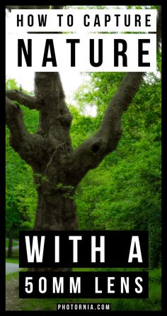 a tree with the words how to capture nature with a 50mm lens on it