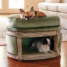 two small dogs laying on top of a green cushioned dog bed in a living room