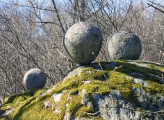 moss covered rocks sitting on top of a rock in the woods