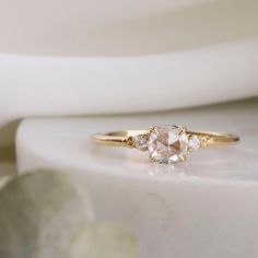 a close up of a ring on a white surface with a plant in the background