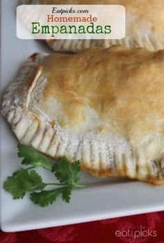 two homemade empanadas on a white plate