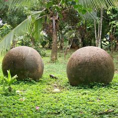 two large balls sitting in the middle of a lush green field next to palm trees