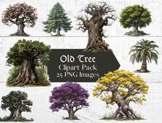 an old tree clipart pack with 25 different trees and their leaves are painted in various colors