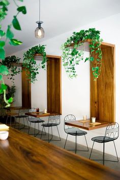 an empty restaurant with tables, chairs and plants on the windowsills in front of them