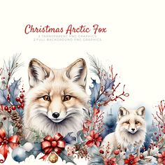 a watercolor christmas card with two foxes and holly wreaths on the left side