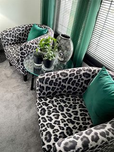 two leopard print chairs and a glass table in front of a window with green curtains