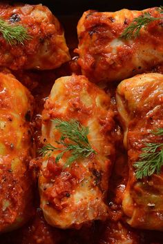 cabbage rolls covered in marinara sauce and garnished with fresh dill sprigs