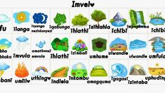 an image of the different types of plants and animals in english or japanese words on a white background