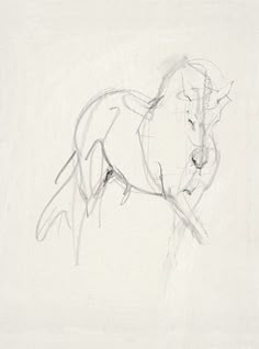 a drawing of a horse is shown in black and white