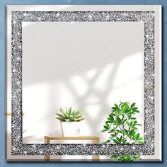 a mirror sitting on top of a blue wall next to a potted green plant