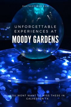 a glass bowl with blue lights on it and the words, unforgettable experiences at mood gardens you won't want to miss these in calven