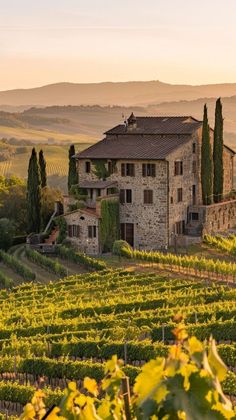 an old stone house in the middle of a vineyard with trees and bushes around it