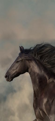 a black horse with long hair running through the air and clouds in the sky behind it