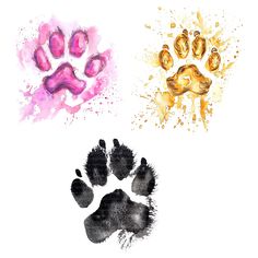 an animal's paw prints are shown in three different colors and sizes, including pink, yellow, and black