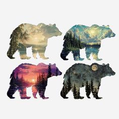 three bears are standing in front of the water and trees at sunset, one bear is looking up to the sky