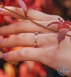 The three pretty stones with central Garnet set in solid silver represent your past, present, and future, creating a graceful design. Cherish your love with this must-have piece! Elegant Three Stone Birthstone Ring For Anniversary, Elegant Three-stone Birthstone Ring For Anniversary, Elegant Three Stone Birthstone Promise Ring, Elegant Three Stone Diamond Birthstone Ring, Elegant Three-stone Diamond Birthstone Ring, Timeless Three Stone Diamond Ring Gift, Classic Three Stone Ruby Promise Ring, Classic Three Stone Ruby Ring For Anniversary, Classic Three Stone Ruby Anniversary Ring