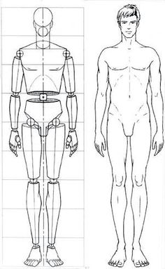 an image of a man's body and torso in three different positions, with the measurements