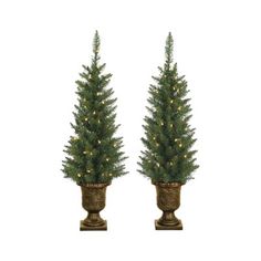 two potted christmas trees with lights on them