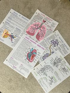 four pieces of paper with medical diagrams on them sitting on the floor next to each other