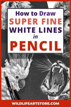 how to draw super fine white lines in pencil by wildfeaststorore com