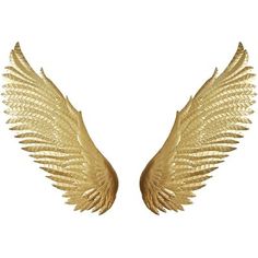 two golden wings on a white background with clippings to the left and right