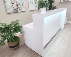 a white reception desk with plants on the side and paintings on the wall behind it