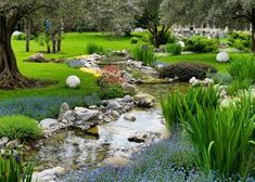 a small stream running through a lush green park filled with flowers and trees, surrounded by tall grass