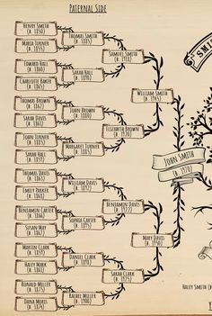 an old family tree with many names on it