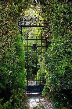 an iron gate surrounded by green bushes