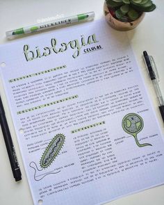 a close up of a paper with writing on it next to a pen and a plant