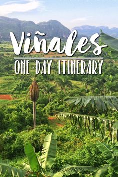 the words vinaless one day itinerary on top of a lush green valley