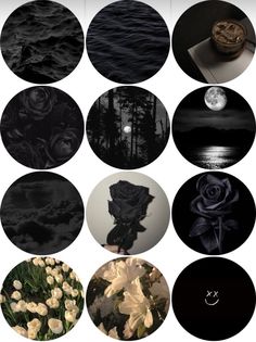 black and white images with flowers in them