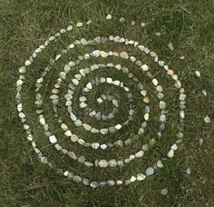 a spiral made out of shells in the grass