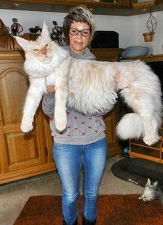 a woman holding a large white cat in her arms