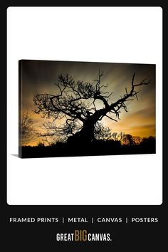 the silhouette of a tree against an orange and black sky with text that reads, framed prints metal canvass posters great big canvas