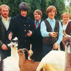 the beatles are posing for a photo with some goats