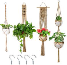 macrame plant hangers with flowers and plants in them