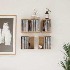 there are four shelves with various records on them next to a potted plant and a framed photograph