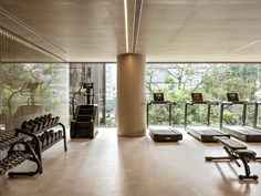 a gym with rows of exercise equipment and lots of windows looking out onto the trees