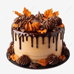 chocolate pumpkin cake with caramel buttercream for thanksgiving chocolate cake cake food cake png Thanksgiving Cake Chocolate, Thanksgiving Chocolate Cake Decorating, Fall Cake Easy, Chocolate Thanksgiving Cake, Simple Thanksgiving Cake Designs, Thanksgiving Cake Decorations, Thanksgiving Themed Cake, Fall Cakes Ideas