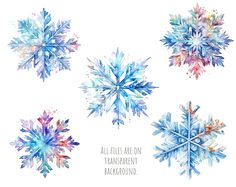 four watercolor snowflakes with the words, all files are on transparent background