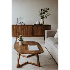 a living room with a couch, coffee table and potted plant on the side