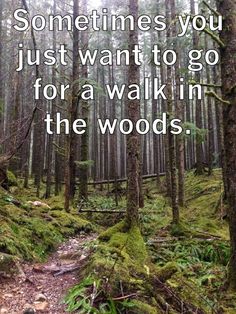 a path in the woods with a quote on it that says sometimes you just want to go for a walk in the woods