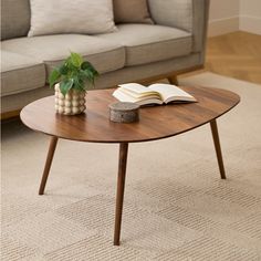 a coffee table with an open book on it and a potted plant next to it